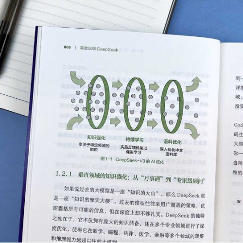 高效玩转DeepSeek：解锁90%的人都不知道的使用技巧 从基础入门到高阶实战全面提升效率