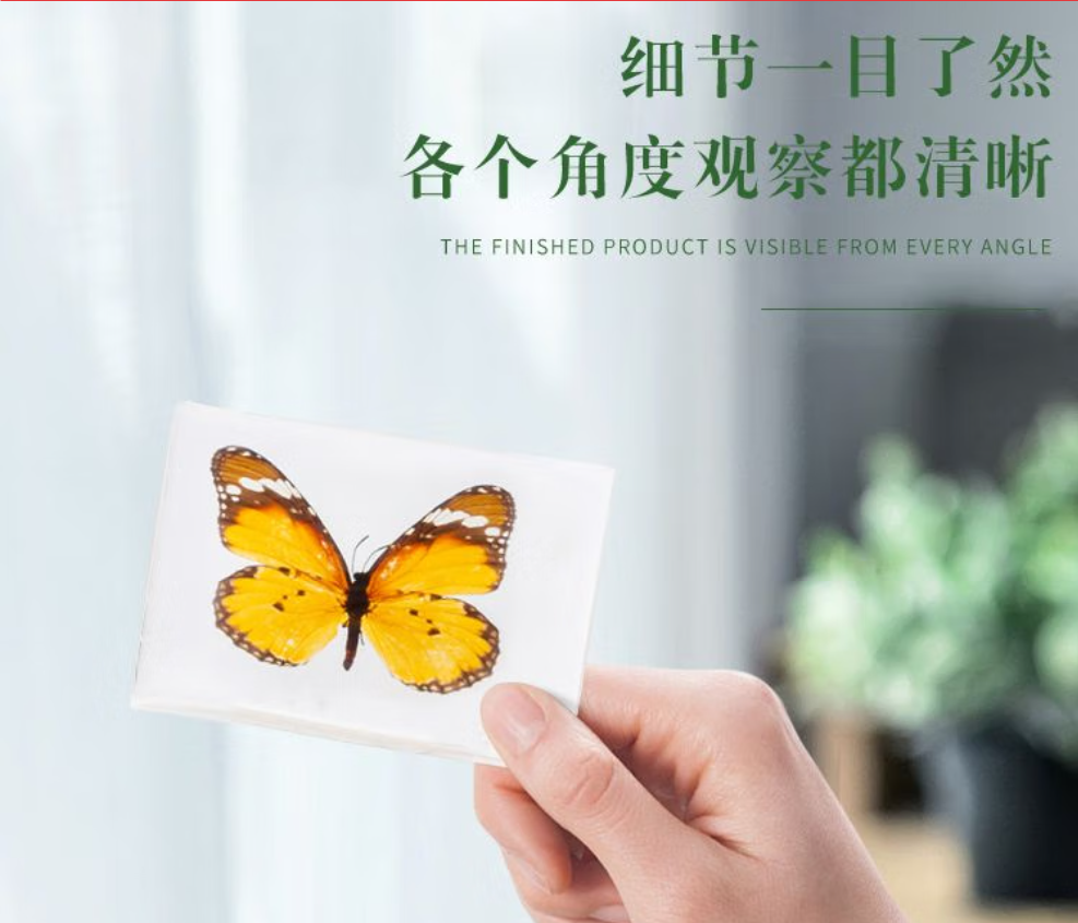 昆虫标本单个挂装--黑蝎