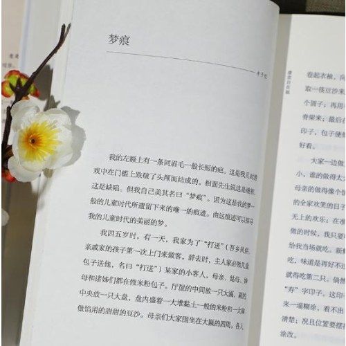 别怕！请允许一切发生