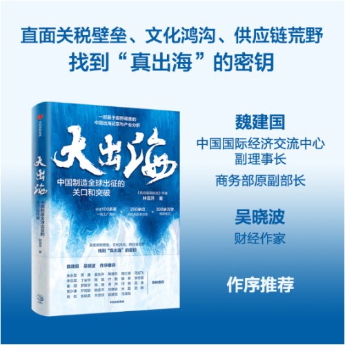 大出海 中国制造全球出征的关口和突破 魏建国、吴晓波作序 林雪萍新作 一部基于田野调查的中国出海纪实与产业分析
