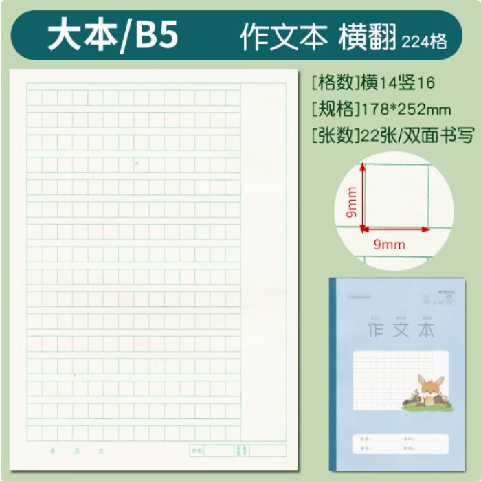B5双胶包背侧翻作文本