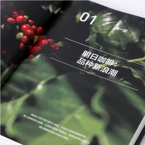 第四波精品咖啡学