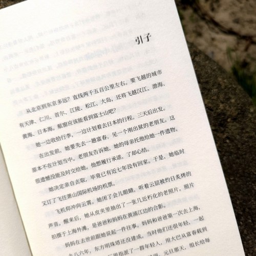 我的硬茬母亲