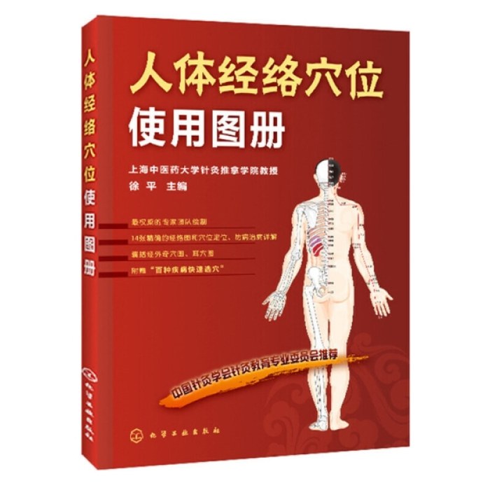 人体经络穴位使用图册