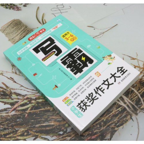 写霸.小学生获奖作文大全