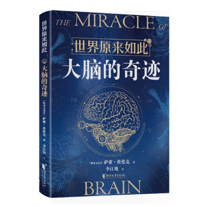 世界原来如此：大脑的奇迹