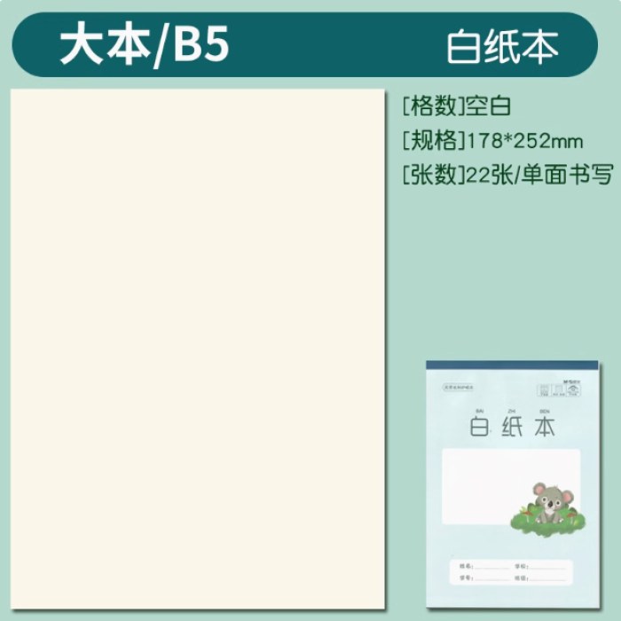 B5双胶包背白纸本