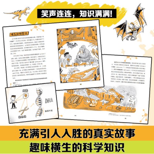 你到底从哪儿来？人类起源的故事