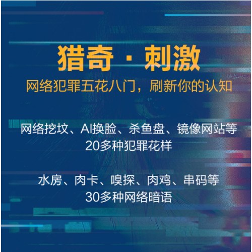 裸网：一个网络刑警的追凶手记