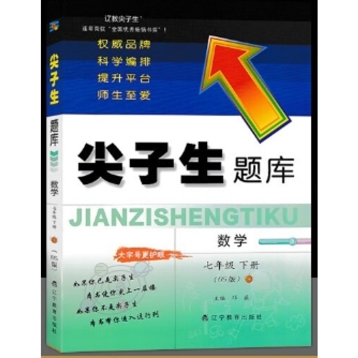 尖子生题库-数学七年级(2025春下册)(BS版)