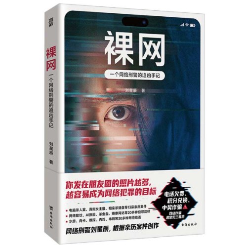裸网：一个网络刑警的追凶手记
