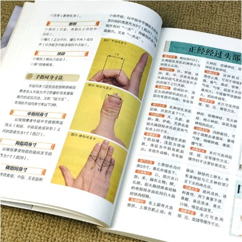 一学就会头耳按摩
