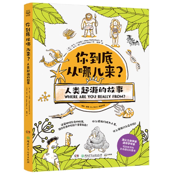 你到底从哪儿来？人类起源的故事