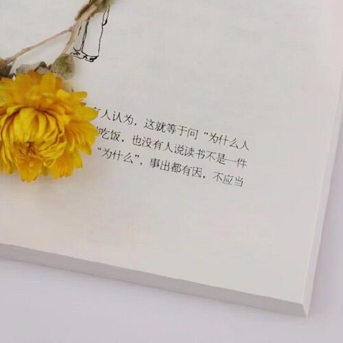 心安即是归处精装典藏版：季羡林百年生命智慧。央视《朗读者》多次动情朗读本书名篇。
