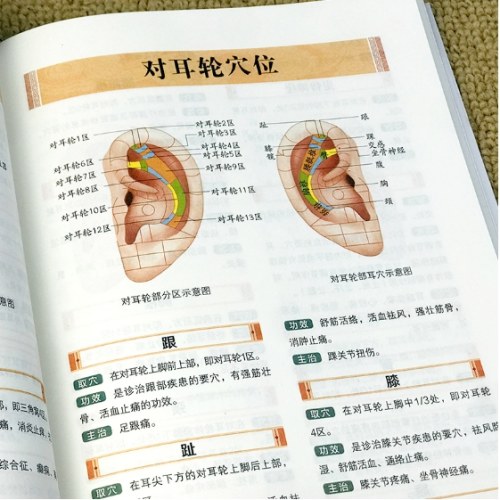 一学就会头耳按摩