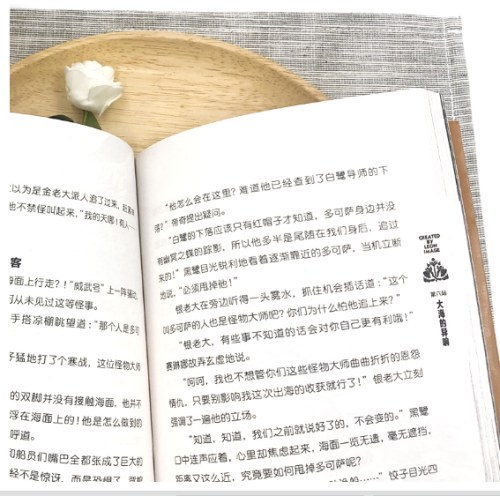 怪物大师17：泯灭的灵魂碎片