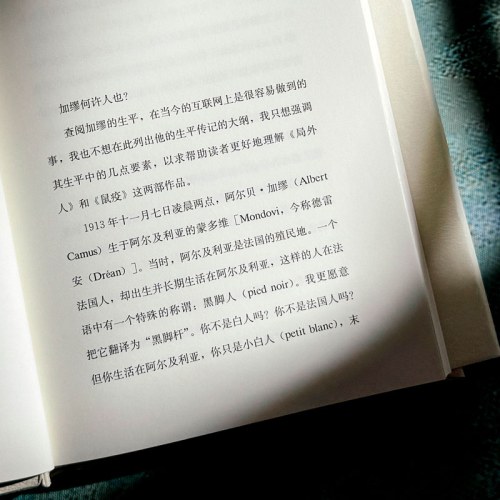 从荒诞到反抗：导读加缪《局外人》和《鼠疫》