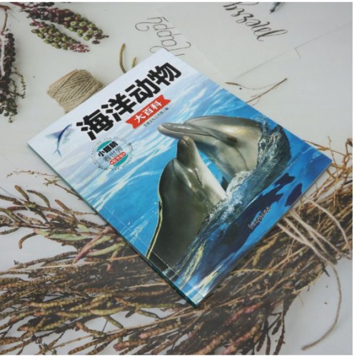 小眼睛看世界:精华版.海洋动物大百科