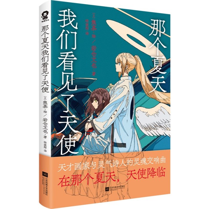 那个夏天我们看见了天使