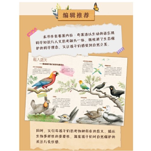 即将消失的它们 适合孩子的科普书，走进自然，了解濒危动物，从小保护动物