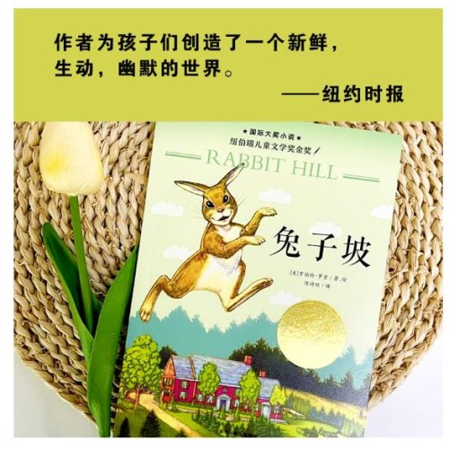 国际大奖小说--兔子坡