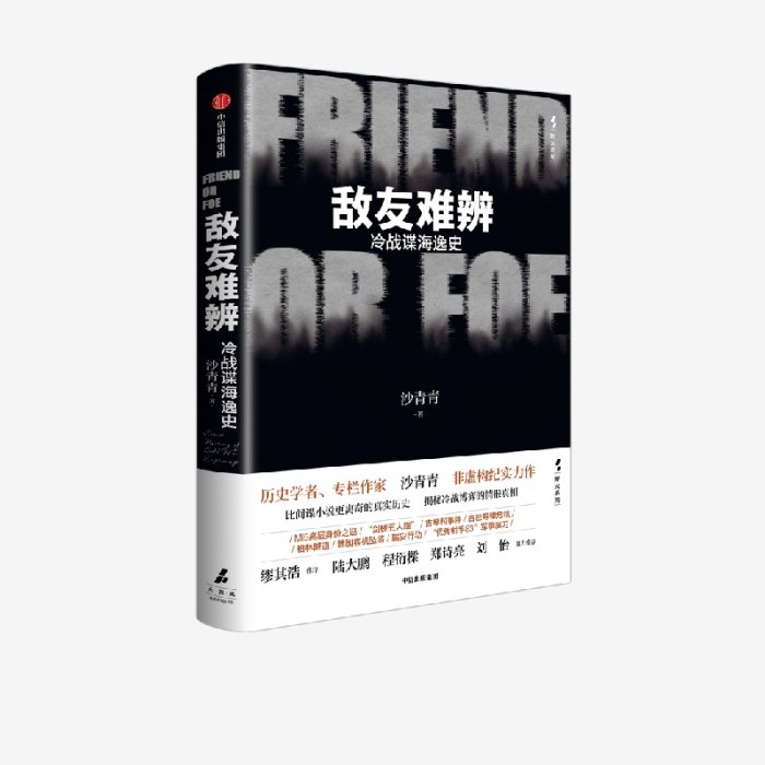 敌友难辨