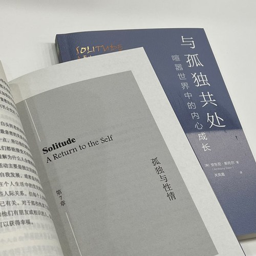 与孤独共处 喧嚣世界中的内心成长