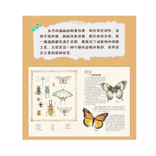 即将消失的它们 适合孩子的科普书，走进自然，了解濒危动物，从小保护动物。