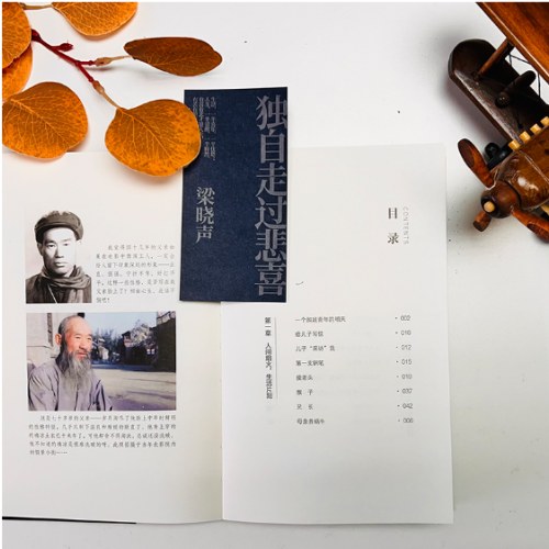 梁晓声新作《独自走过悲喜》
