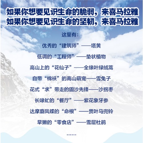 喜马拉雅的种子