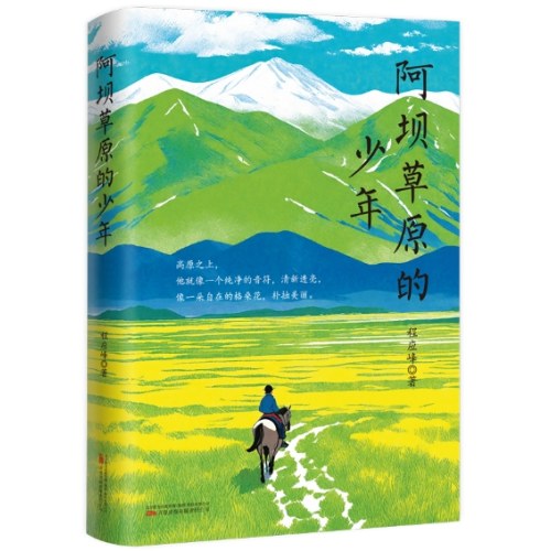 阿坝草原的少年