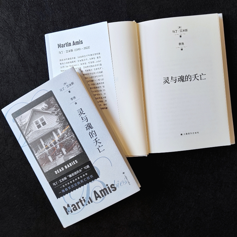 灵与魂的夭亡（马丁·艾米斯作品）