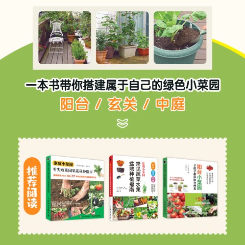 盆栽小菜园 常见蔬菜水果盆栽种植指南