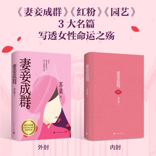 妻妾成群（茅盾文学奖得主苏童代表作，张艺谋电影《大红灯笼高高挂》原著小说）