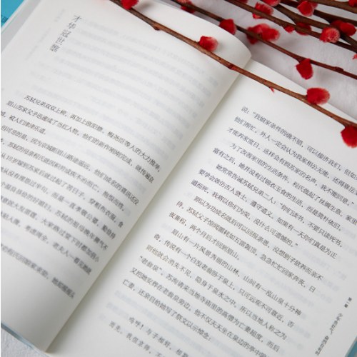 苏东坡传：人生如逆旅，我亦是行人