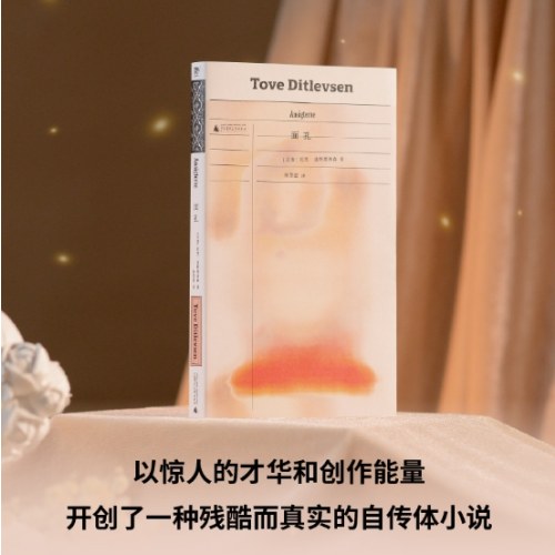 面孔（《哥本哈根三部曲》作者托芙·迪特莱弗森长篇代表作，理智地描摹疯狂，疏离地评估澎湃的情感：一位精神崩溃的女作家自我救赎的心灵之