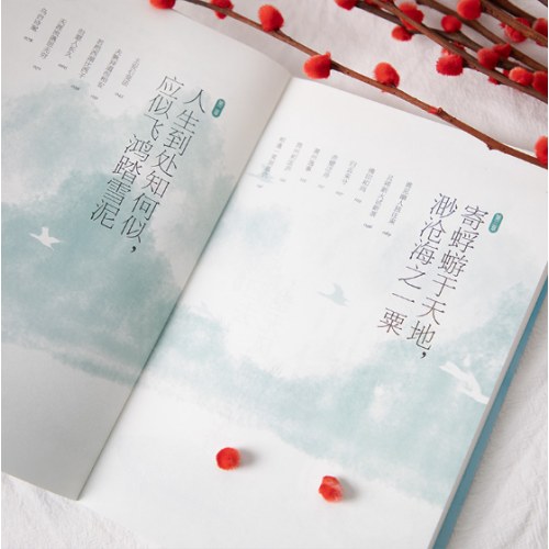 苏东坡传：人生如逆旅，我亦是行人