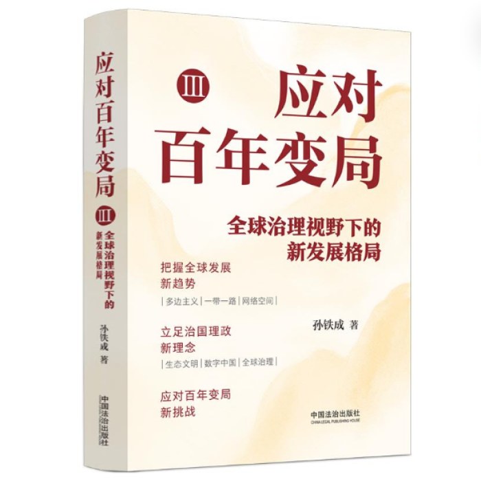 应对百年变局Ⅲ：全球治理视野下的新发展格局
