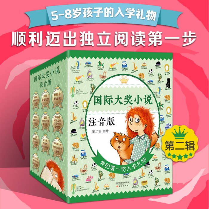 国际大奖小说注音版第二辑（套盒 新版）