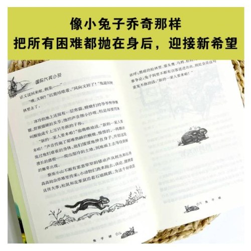 国际大奖小说--兔子坡
