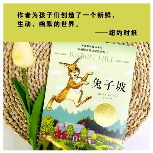 国际大奖小说--兔子坡