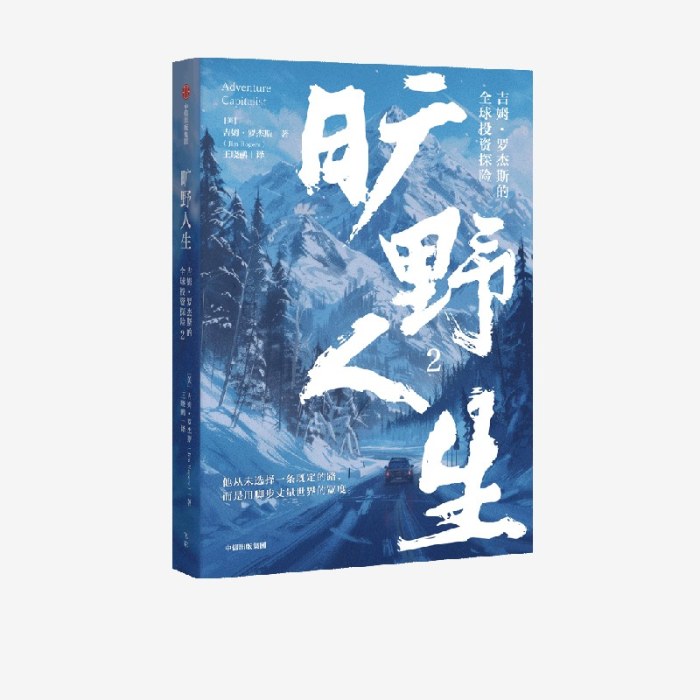 旷野人生2：吉姆·罗杰斯的全球投资探险