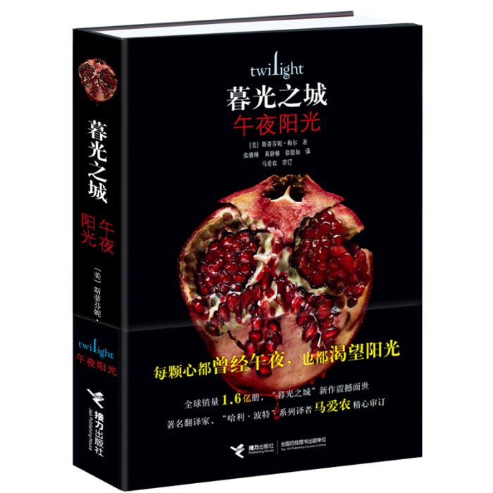 暮光之城5：午夜阳光