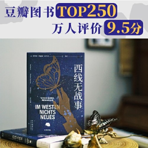 西线无战事（《悉达多》译者姜乙译作，2023奥斯卡获奖影片原著）