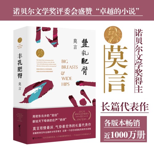 丰乳肥臀（莫言用情极深的长篇代表作，女性苦难史）