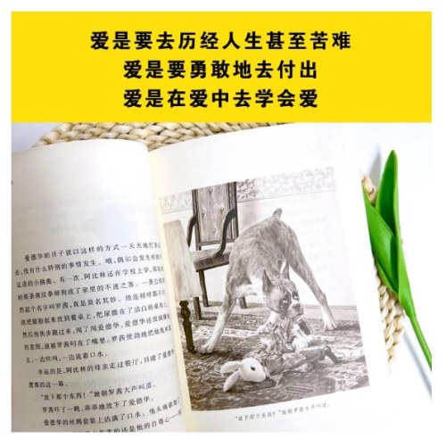 国际大奖小说——爱德华的奇妙之旅