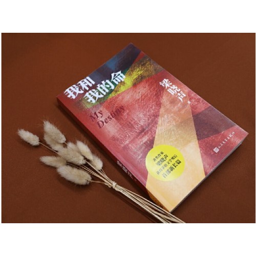 我和我的命（梁晓声新作，80后的《人世间》、女版雷佳音的亲情、爱情与奋斗）