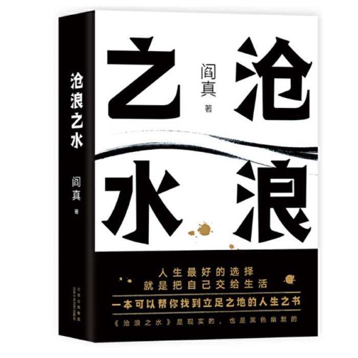 沧浪之水（某瓣8.5分，入围茅盾文学奖）