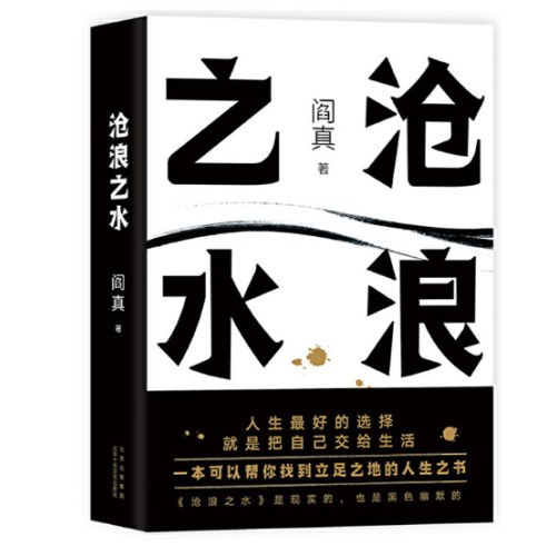 沧浪之水（某瓣8.5分，入围茅盾文学奖）