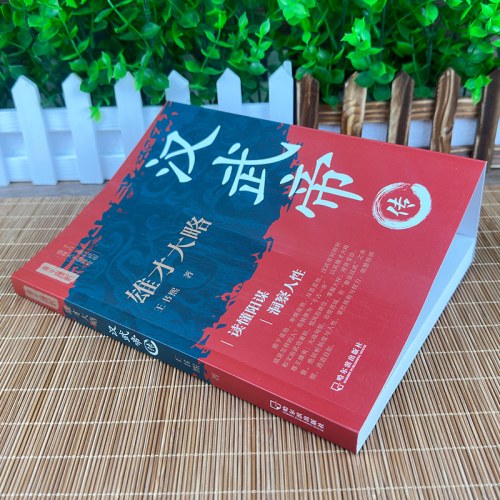 雄才大略：汉武帝传